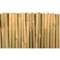 ARELLE BRIXO MASTER BAMBU 100X300CM