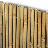 ARELLA IN BAMBU' river CANNE GROSSE 11-13 mm BAMBOO MT 1,5X3 150X300 TAPPARELLA 