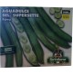 FAVA FAVE AGUADULCE SEL. SUPERSETTE 1000 G 1 KG BACCELLO 25/28 cm VARIETA' PRECO