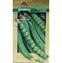 PISELLI LINCOLN PISELLO MEZZA RAMA RUGOSO BACCELLO 11/12cm L'ORTOLANO 1000gr