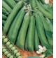 PISELLI LINCOLN PISELLO MEZZA RAMA RUGOSO BACCELLO 11/12cm L'ORTOLANO 500gr