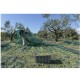 RETE TELO RACCOLTA OLIVE ANTISPINA 85/90 gr/mq TENDA con spacco OLIO 12x12 mt